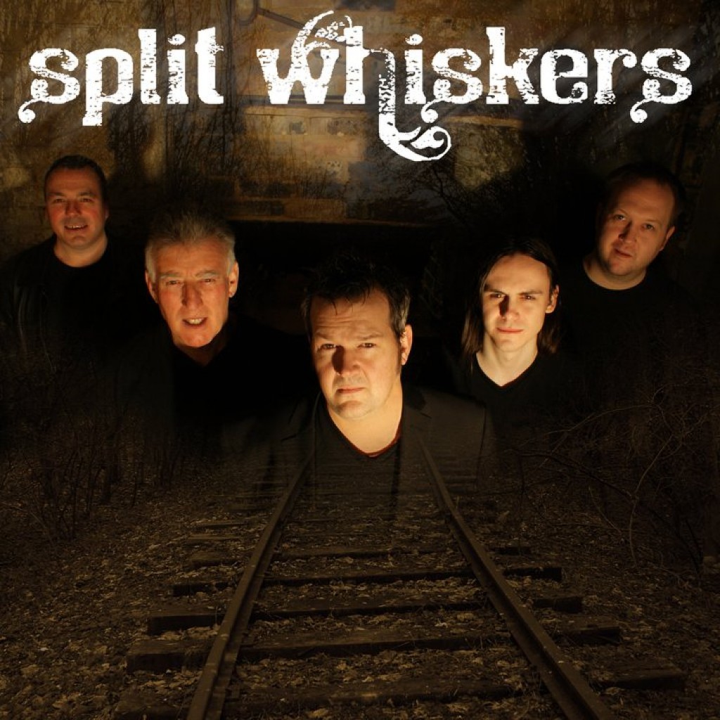 Split Whiskers