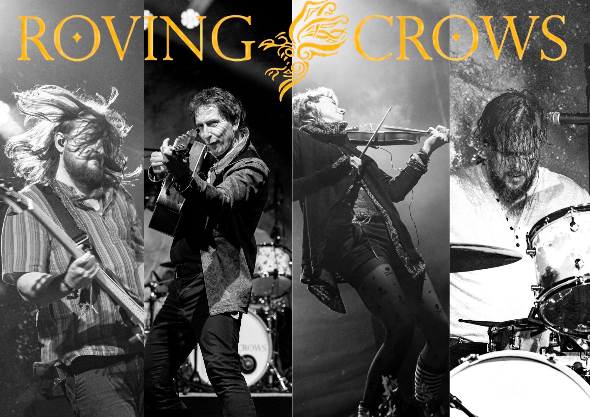 Roving Crows