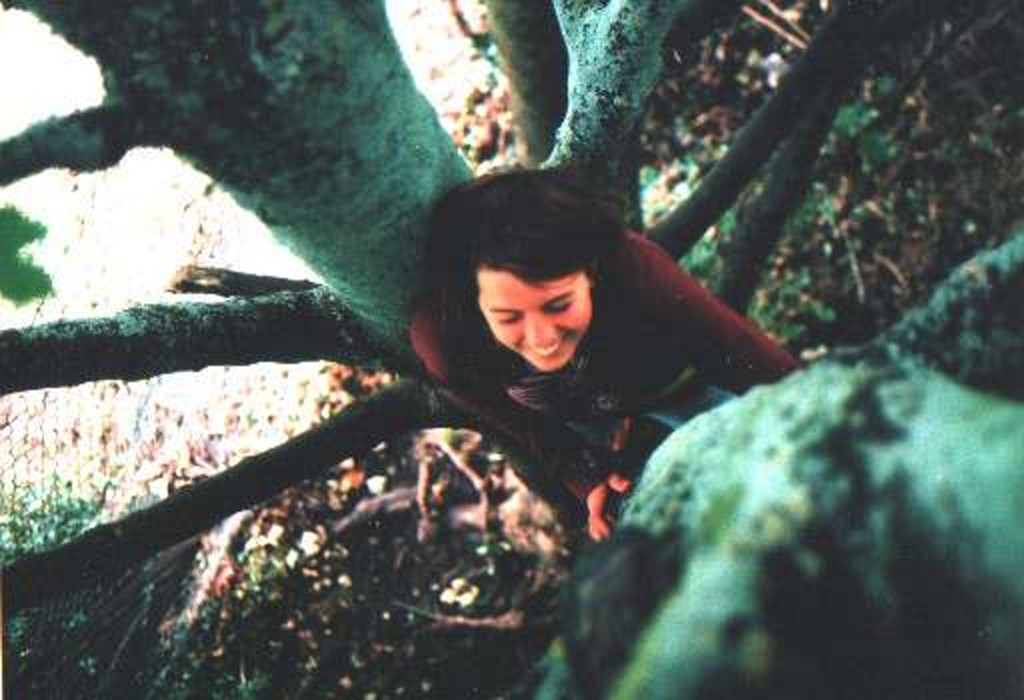 Rozi Plain