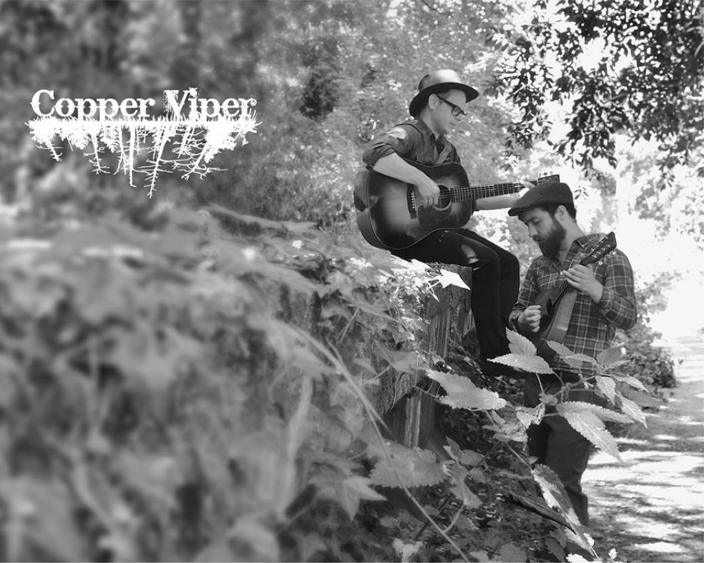 Image result for copper viper, cut it down count the rings cd