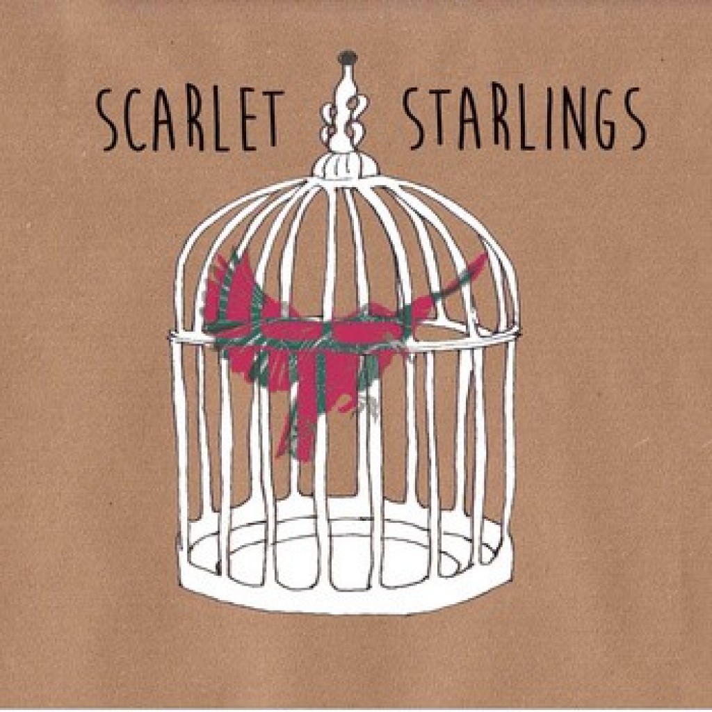 Scarlet Starlings