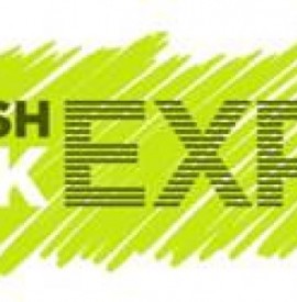 English Folk Expo’s Artist Mentoring Programme