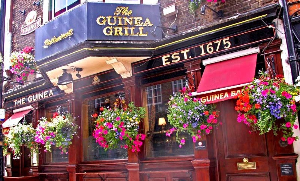 The Guinea Grill | Folk | Gig Listings