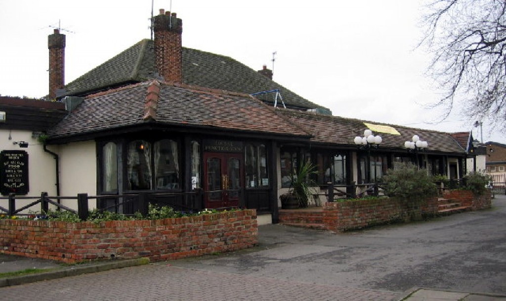 The Copper Beech