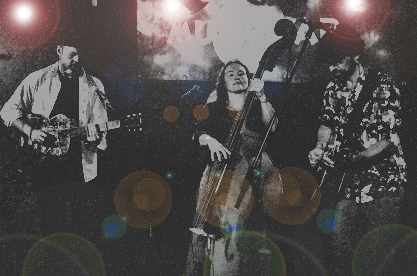 Jenny Wren and Her Borrowed Wings