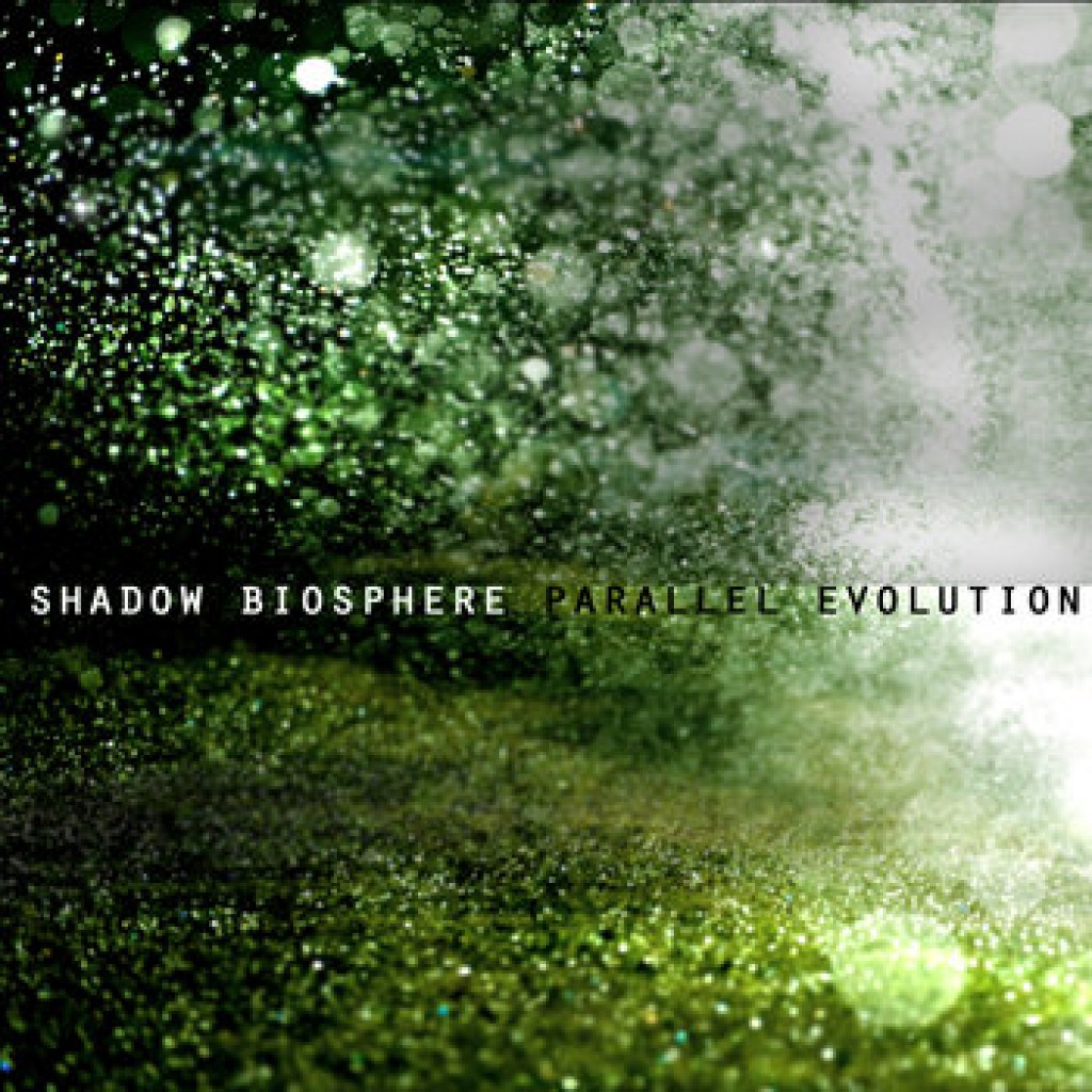 Shadow Biosphere