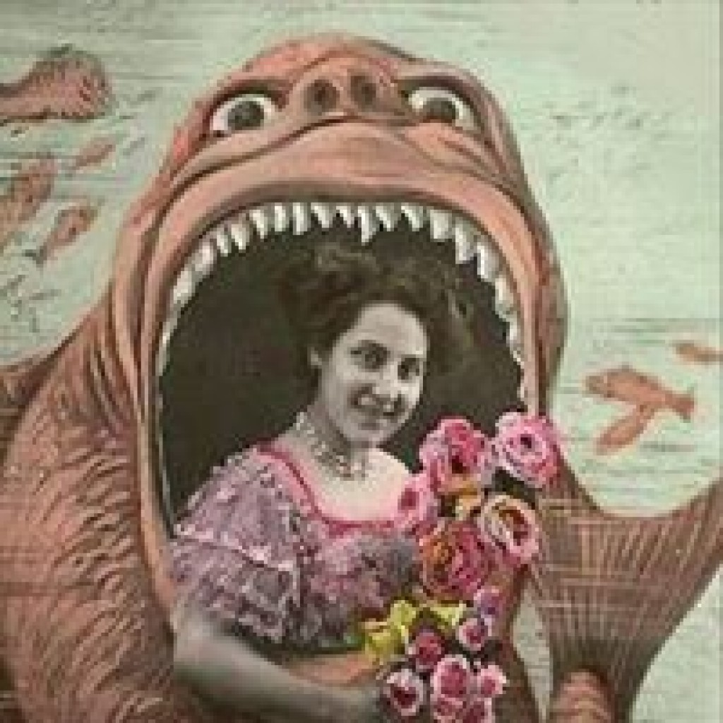 The Strange & The Beautiful