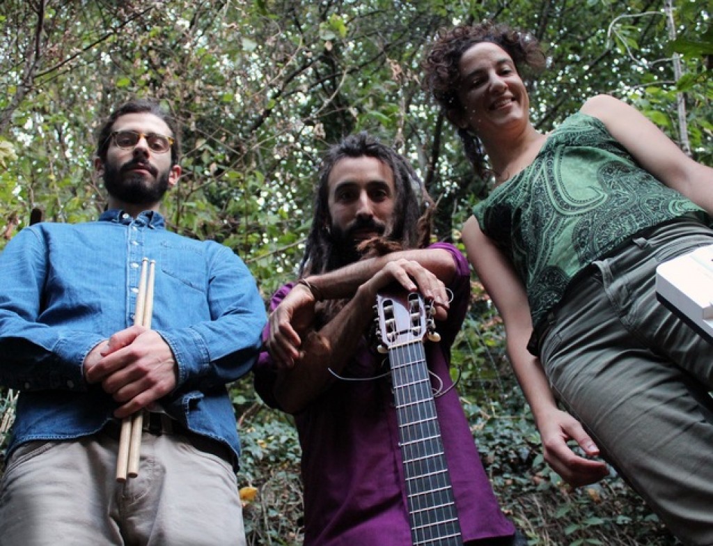 The Globo Collective