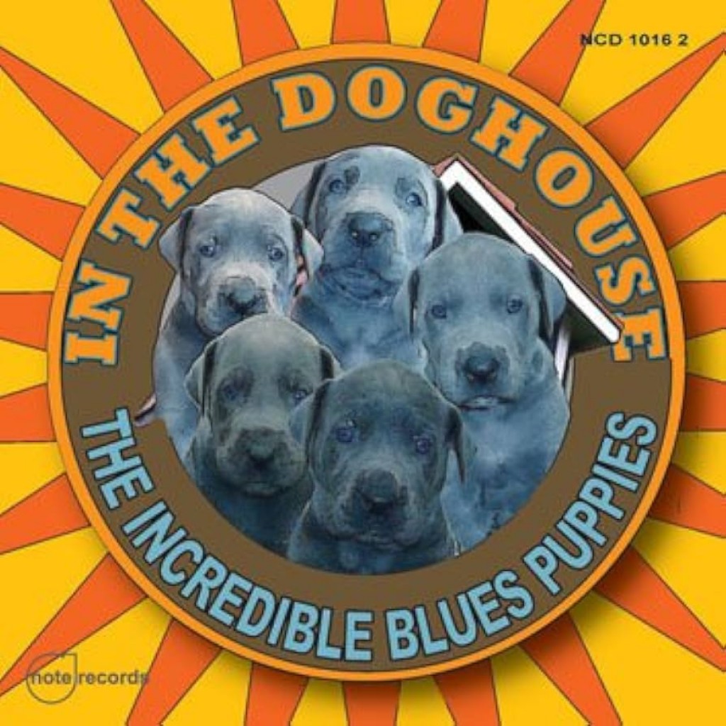 Incredible Blues Puppies