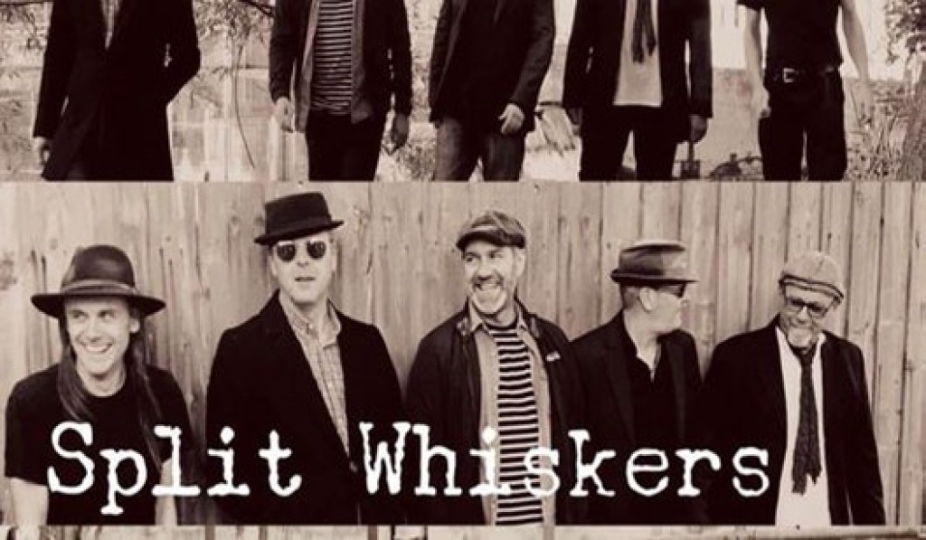 Split Whiskers