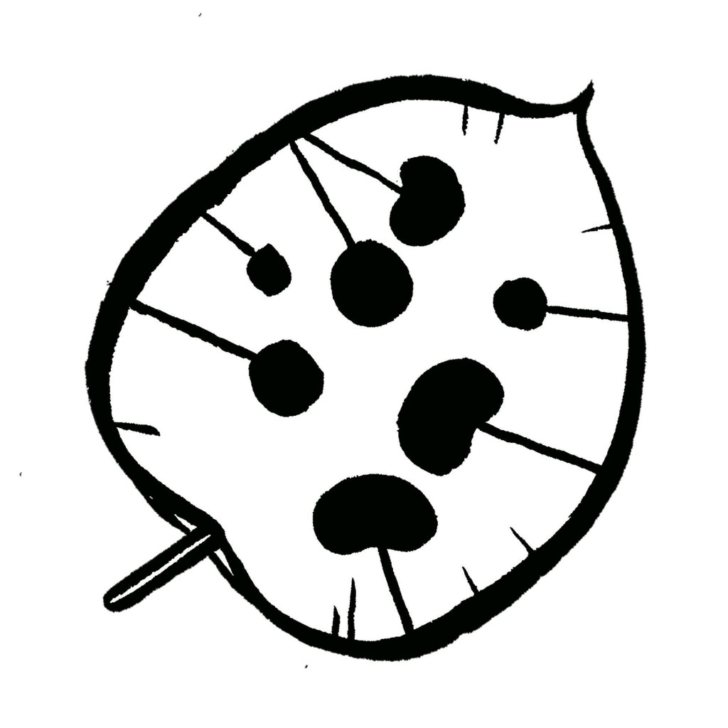 Lunaria Records presents