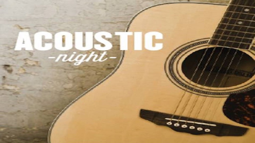 Bridgwater Arts Acoustic Night