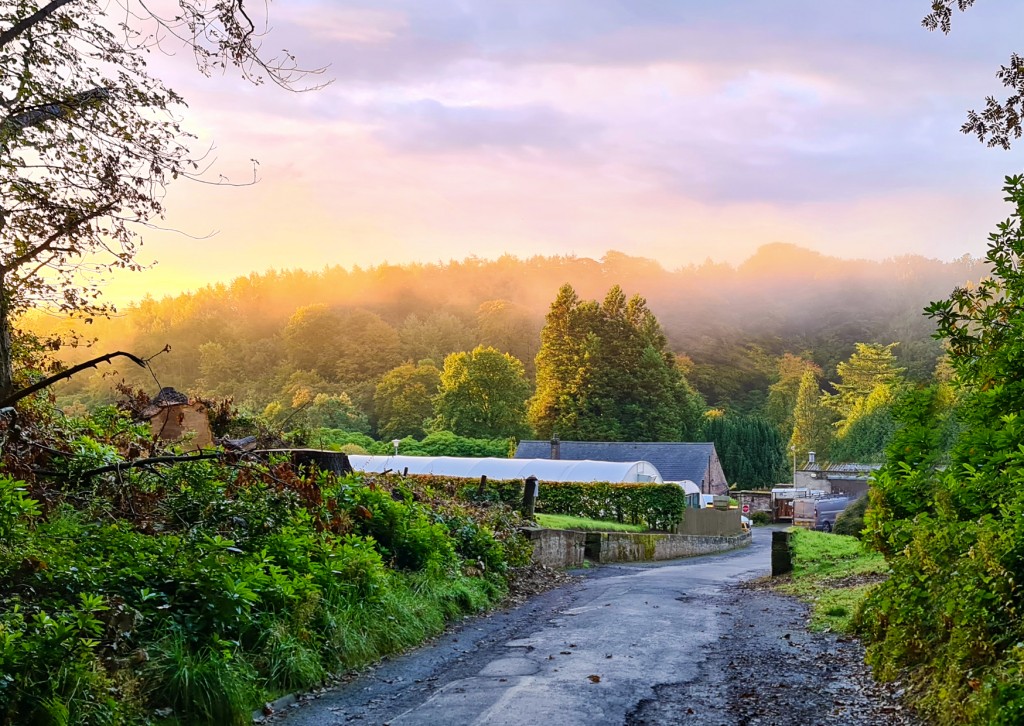 River Garden presents