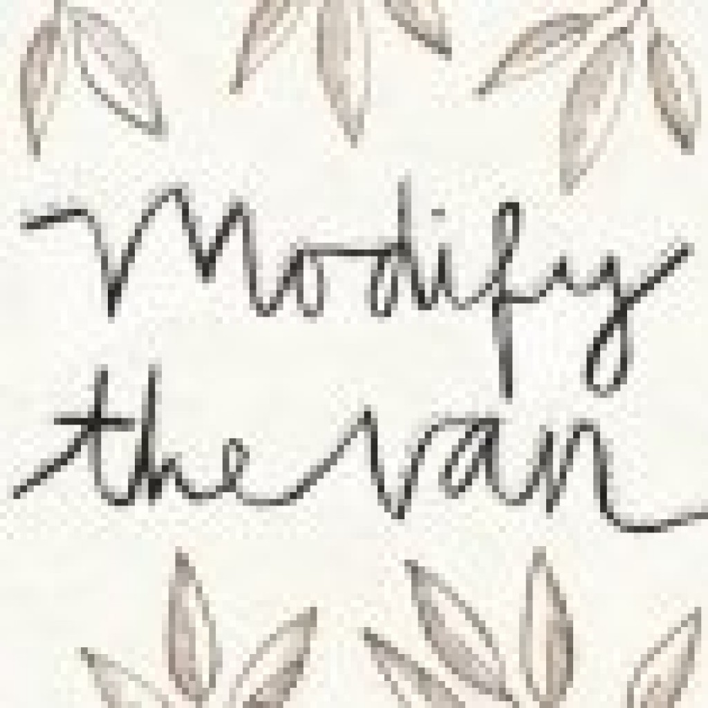 modifythevan presents