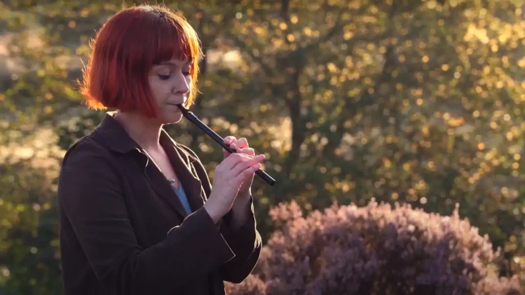 Big Whistle: The Tin Whistle and Low Whistle Specialists