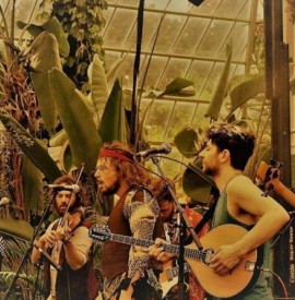 A rum-soaked rollicking trip!