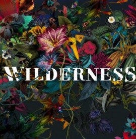 The Wilderness Festival