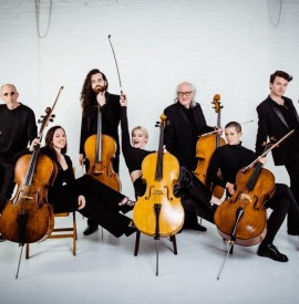 The Massive Violins Summer Concert