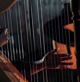 FROM THE COOP - a lockdown music film