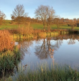 GATE TO SOUTHWELL 2021