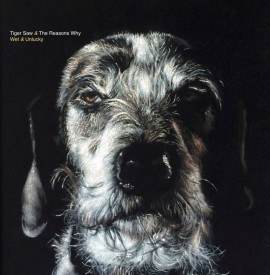 ´Wet and Unlucky´ by Tiger Saw & The Reasons Why - Album review