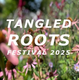 The Tangled Roots festival returns to Somerset, 6–8 June