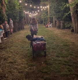 The Tangled Roots festival returns to Somerset, 6–8 June