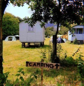 The Tangled Roots festival returns to Somerset, 6–8 June