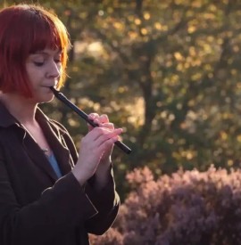 Big Whistle: The Tin Whistle and Low Whistle Specialists