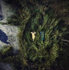 Album Review: Lucie Hendry expands the harp’s horizons on ´Ashes to Art´