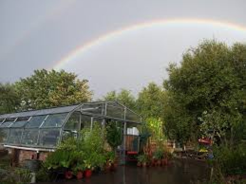 Brockwell Park Community Greenhouses
