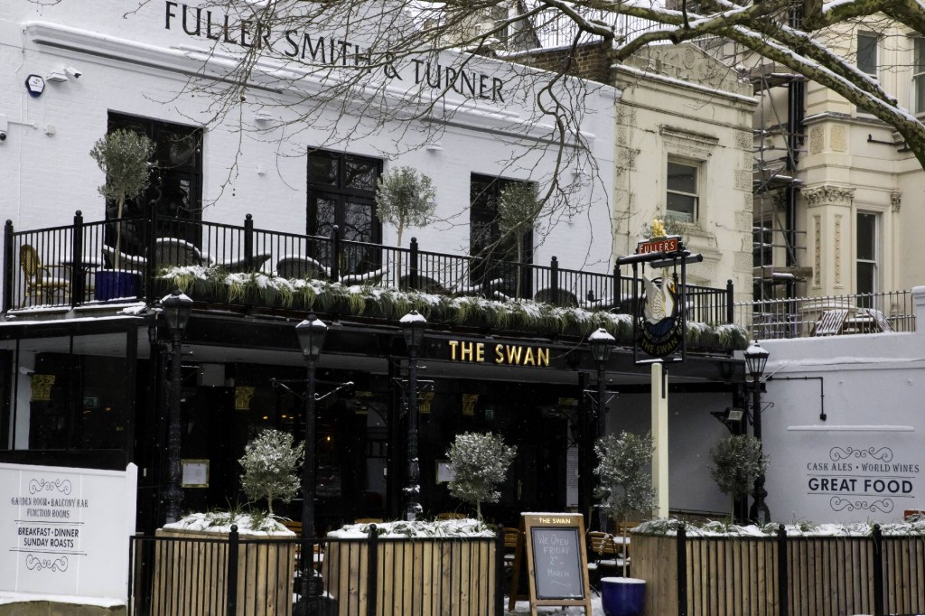 The Swan
