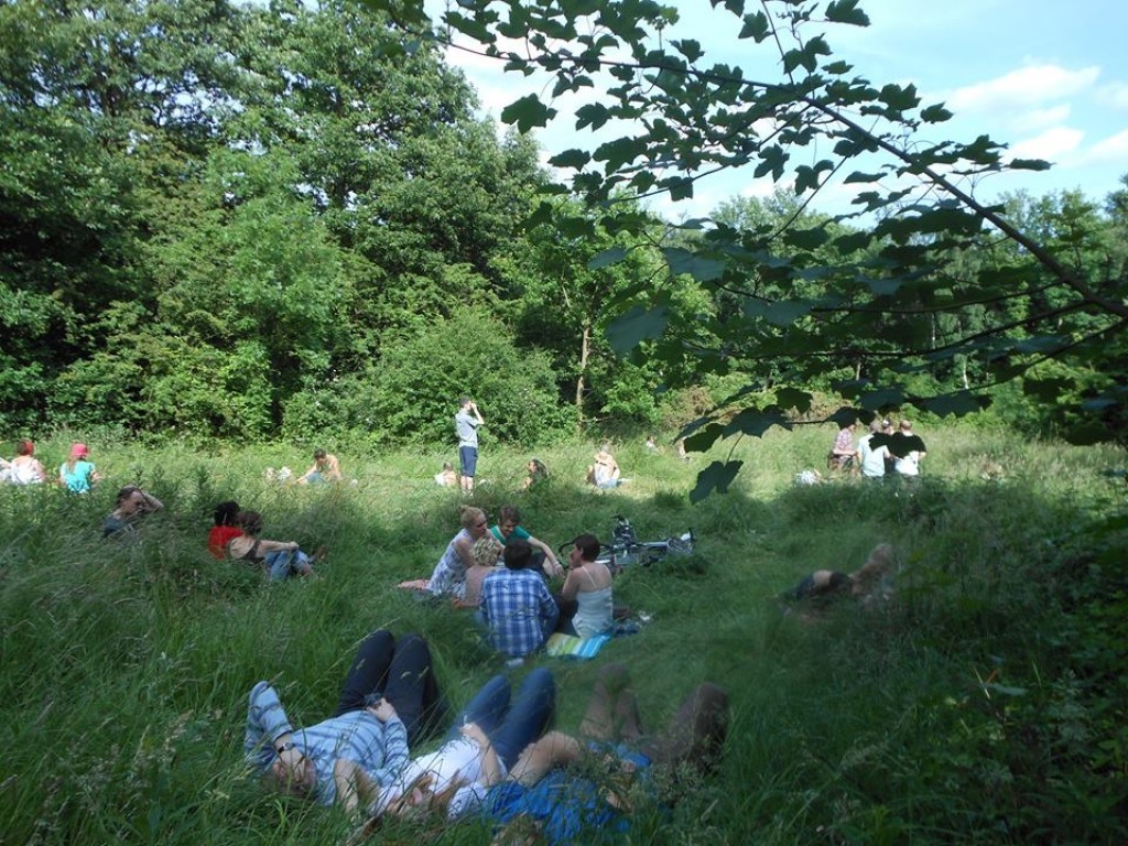 Devonshire Road Nature Reserve
