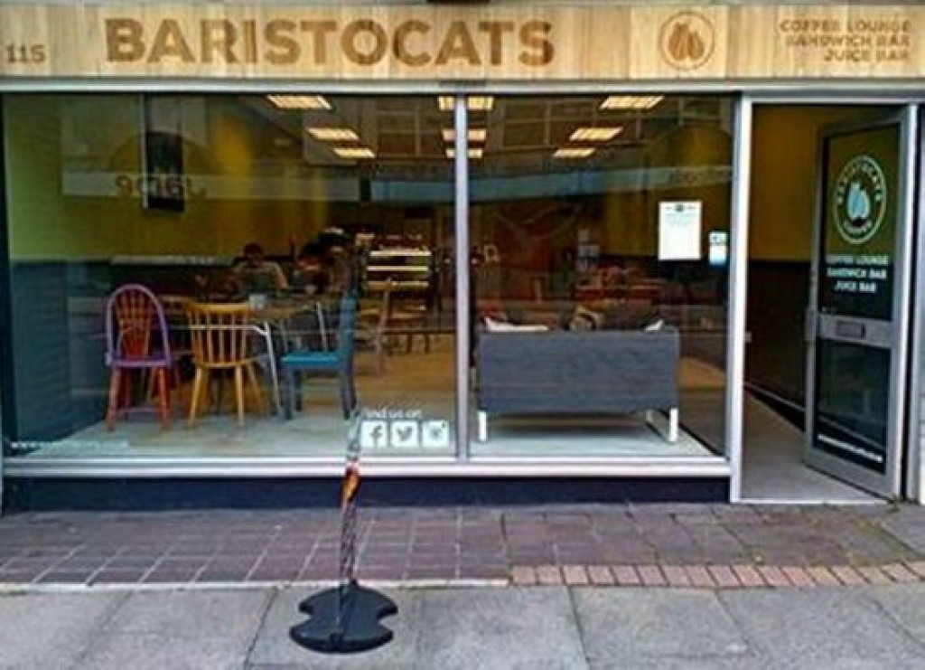 Baristocats