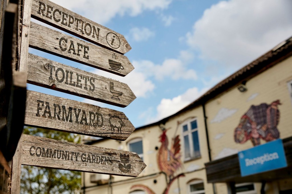 Windmill Hill City Farm