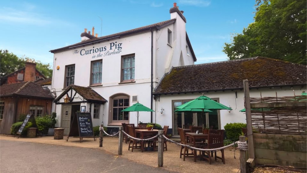 The Curious Pig In The Parlour
